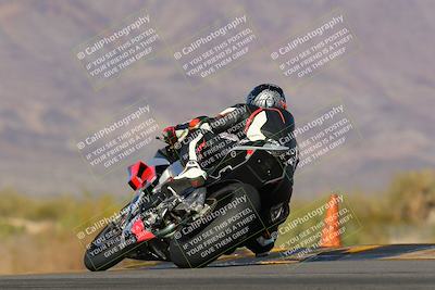 media/Feb-04-2023-SoCal Trackdays (Sat) [[8a776bf2c3]]/Turn 9 Backside (145pm)/